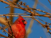 10-22-17-Piscataway-28896