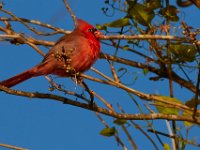 10-22-17-Piscataway-28902