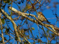 10-22-17-Piscataway-28943