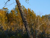 10-22-17-Piscataway-28967