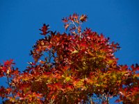 10-22-17-Piscataway-28971