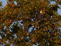 10-22-17-Piscataway-29033