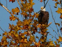 10-22-17-Piscataway-29041