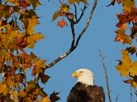 10-22-17-Piscataway-29053