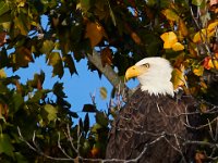 10-22-17-Piscataway-29063