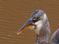 11-03-17-Cash Lake w-T-29631